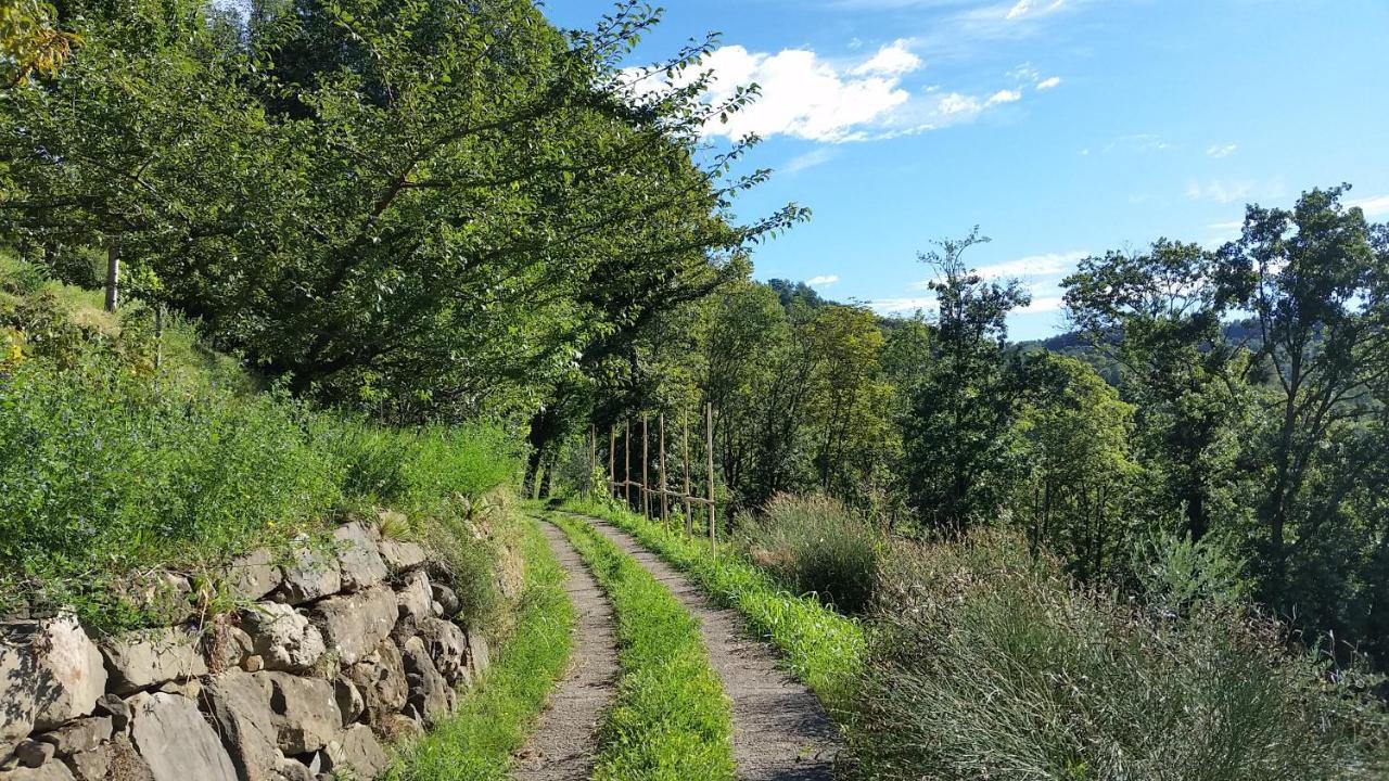 Agriturismo San Genesio Rovagnate Buitenkant foto